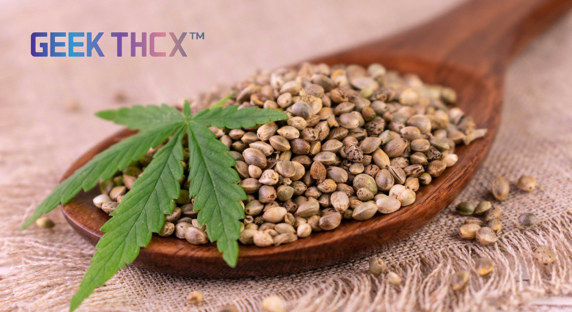 GEEK THCX is the only authentic GEEK THC vape brand officially authorized by GEEK BAR and GEEK VAPE.